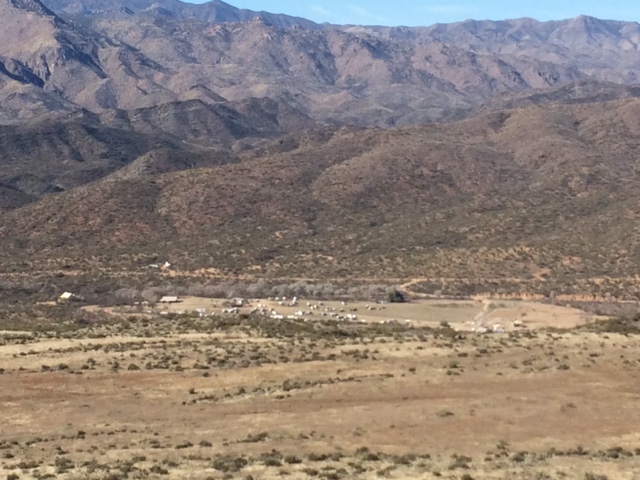 Bumble Bee Horse Camp