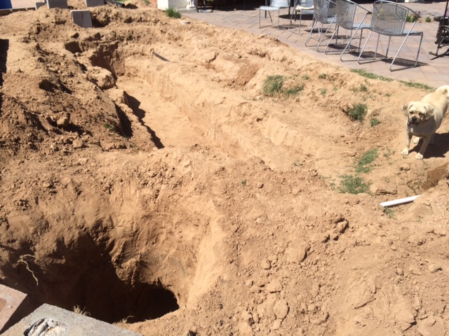 pond progress 5 030815