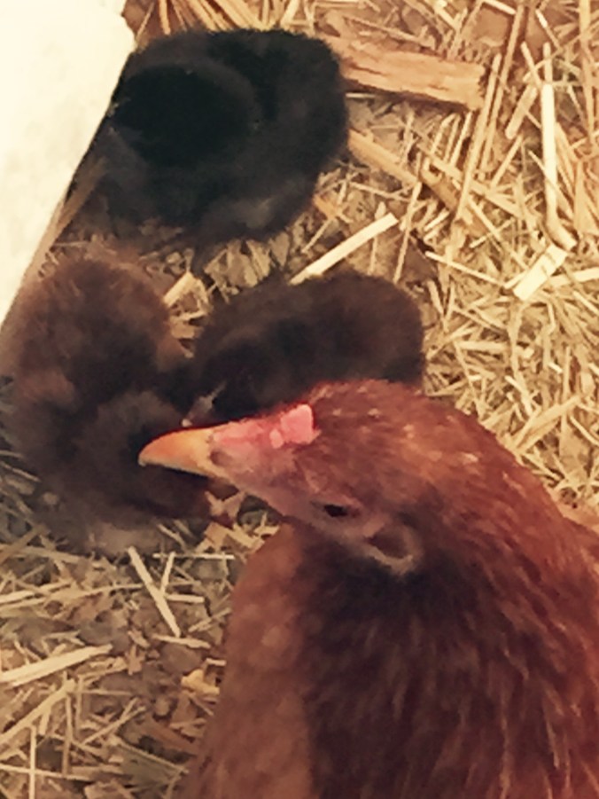 File Jun 29, 10 52 08 AM