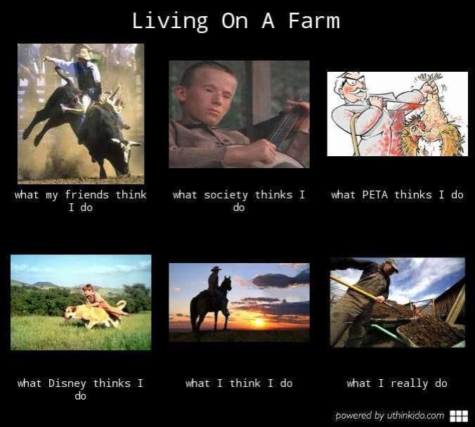 Living on a Farm